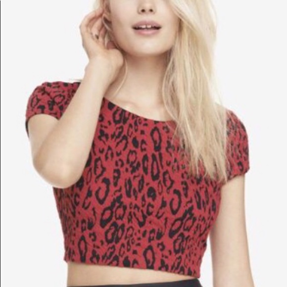 Express red and black leopard print crop top - Picture 1 of 6